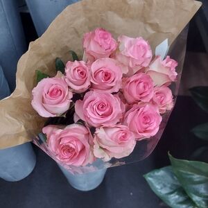 Meet your Posher, Lidia